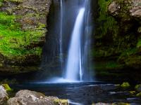 Engelswurz am Becken bei mittlerer Gluggafoss Wasserfallstufe - Südisland